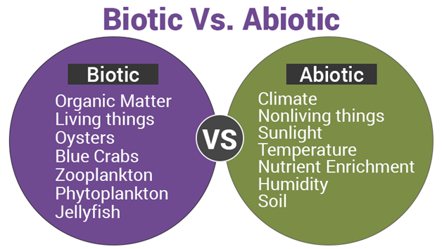 environment-ecology-ecosystem-introduction-types-biotic