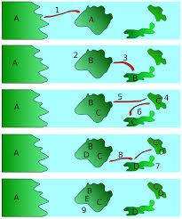 Adaptive Radiation Adaptive Radiation