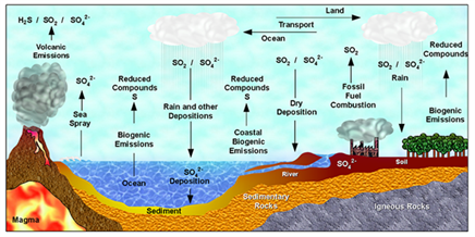 biogeochemical cycles