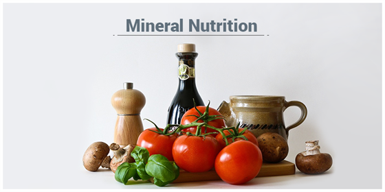 Mineral Nutrition Mineral Nutrition