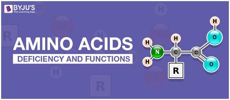 Amino Acids Amino Acids