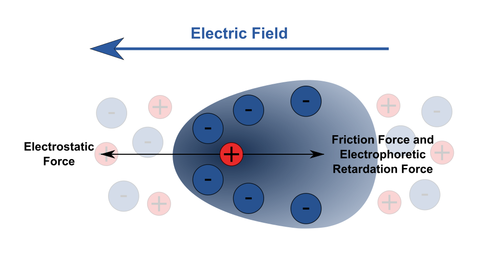 Properties Of Colloids Physical, Electrical, Optical & Properties
