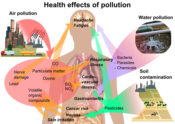 Effects of air pollution Effects of air pollution