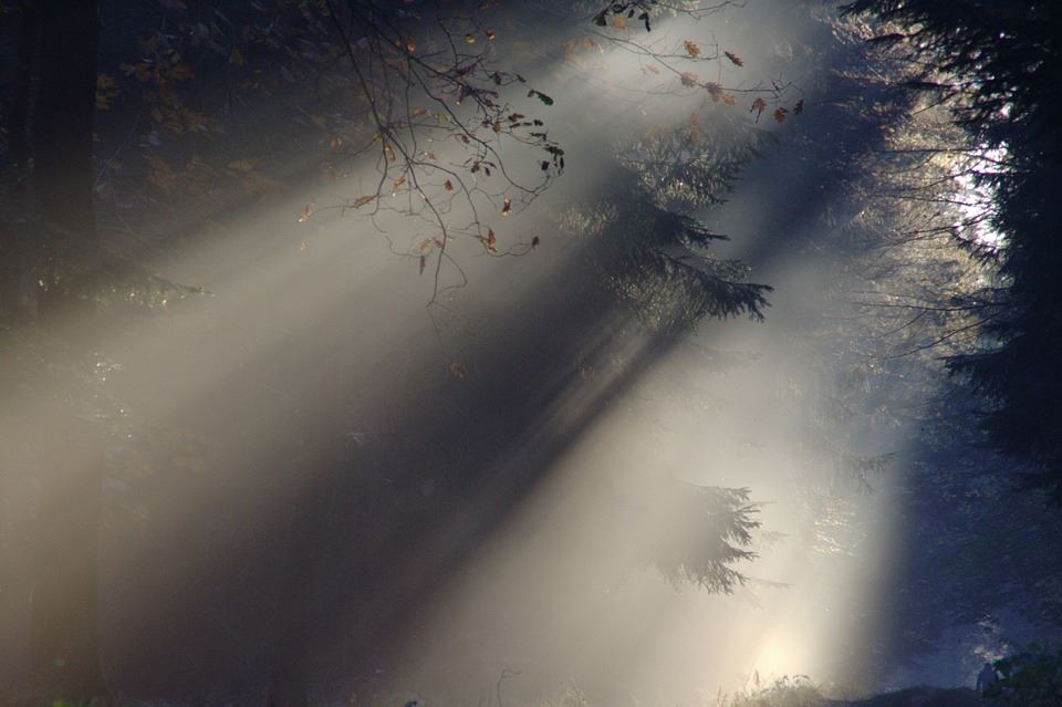 Tyndall effect Tyndall effect