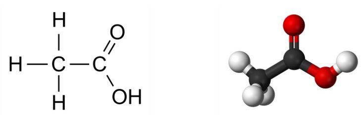 Ethanoic Acid Ethanoic Acid
