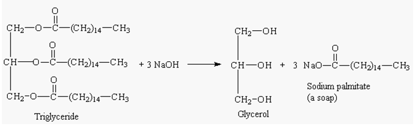 Saponification Saponification