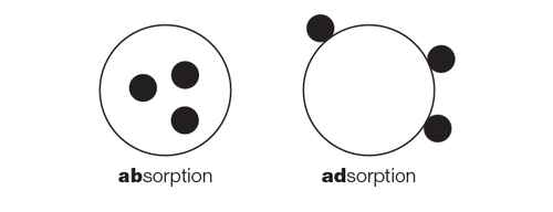 Factors Affecting the Extent of Adsorption and Exothermic Nature