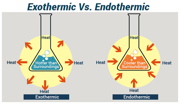 how process photosynthesis Difference Exothermic Reactions Between Endothermic and