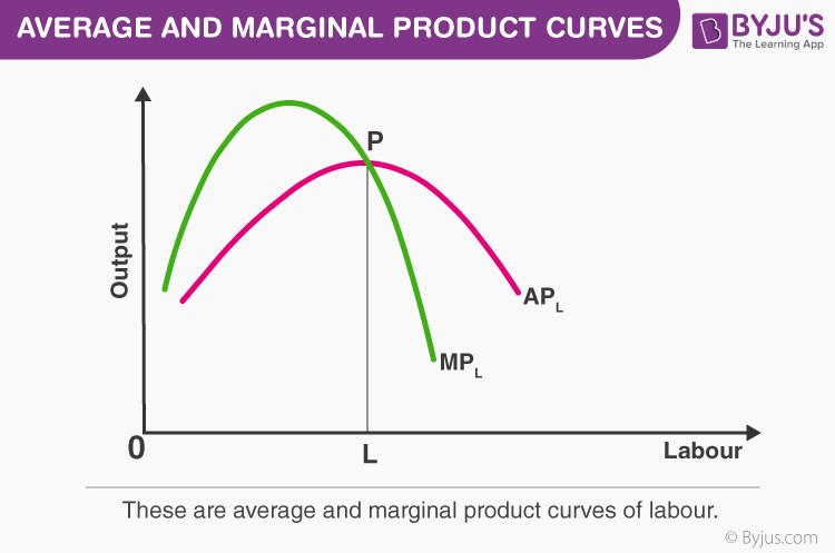 marginal product graph