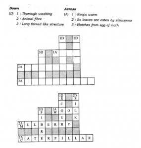 7th grade science crossword puzzles