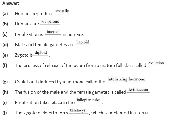 Ncert Solutions Class 12 Biology Chapter 3 Human Reproduction 