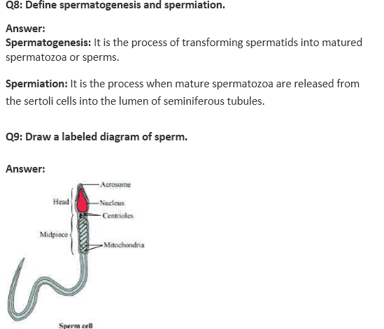 Ncert Solutions Class 12 Biology Chapter 3 Human Reproduction 1881