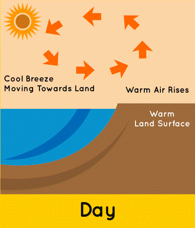 Sea Breeze Sea Breeze