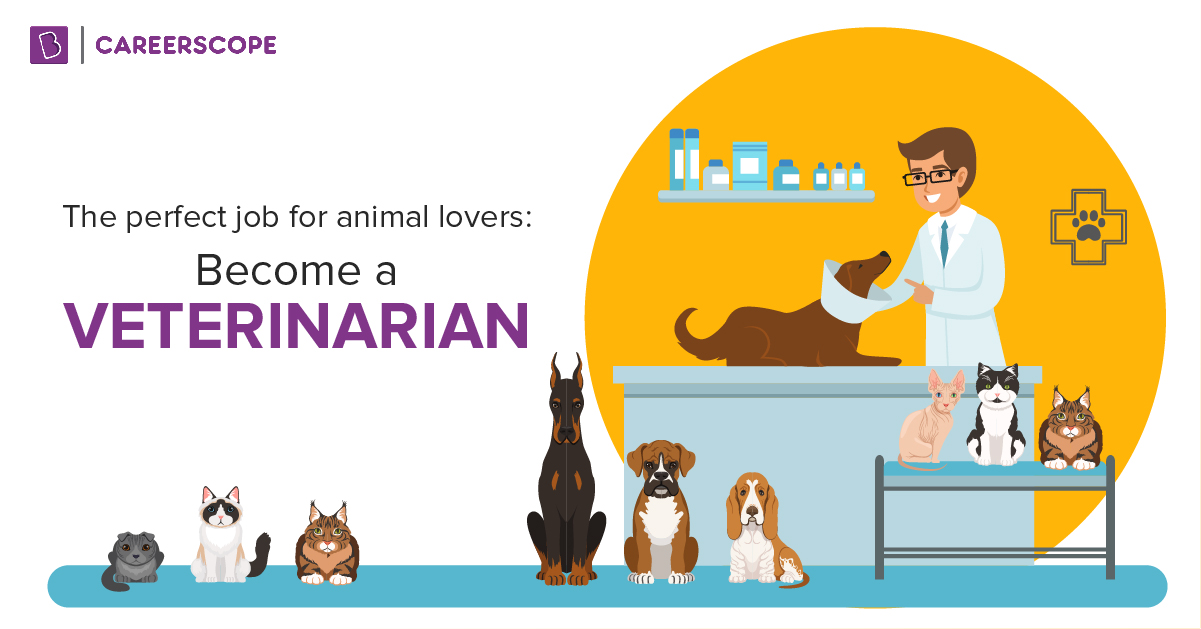 How to a veterinary doctor in India?