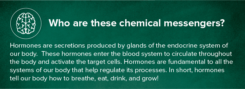 hormones are the chemical messengers of the hormones are the chemical messengers of the
