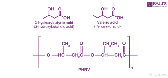 PHBV