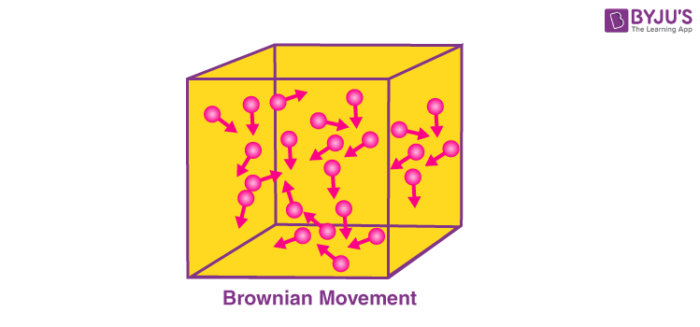 Brownian Motion