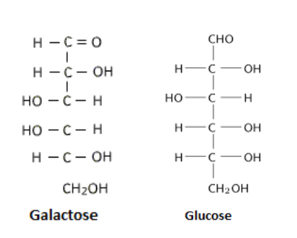 Monosaccharides