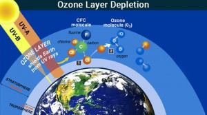 The Depletion Of The Ozone Layer