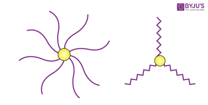 Star Copolymer