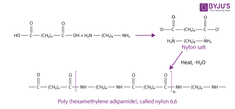 The important fibers in Todays life Nylon and Polyester