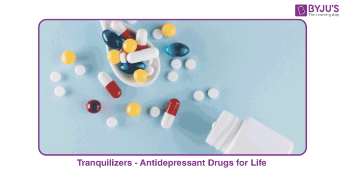 Tranquilizers (Drugs) - Definition, Classification, Types & Examples