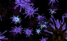 Virus Virus