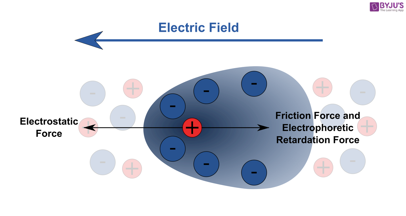 Electrophoresis Technique Used For DNA Analysis & Types Byjus