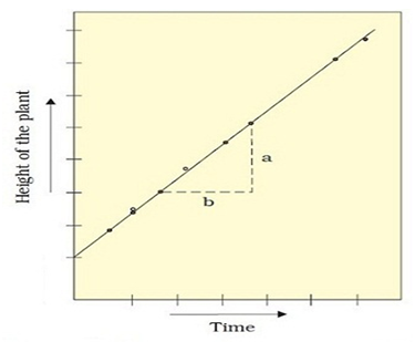 The 2 Types of Growth: Which Growth Curve Are You Following?