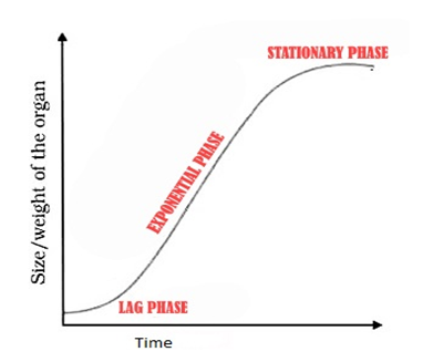 growth rate hypothesis plant