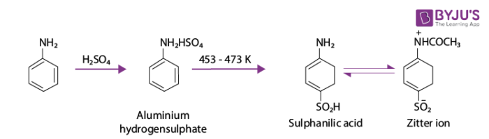 Representation of Sulphonation Reaction