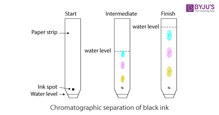 ink chromatography lab answers