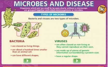 Microbes Microbes
