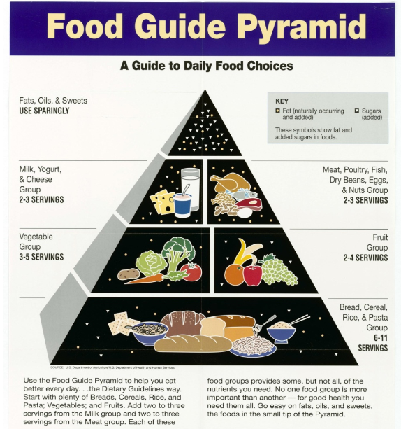 six-essential-nutrients-and-their-functions-in-human-beings