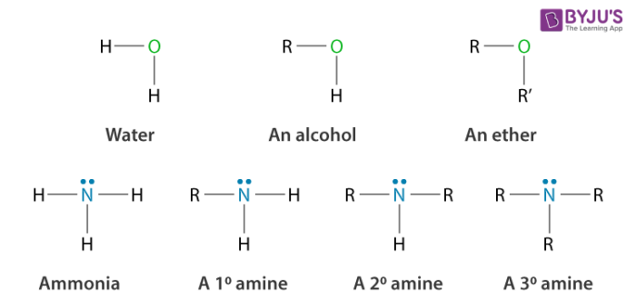 Naming Amines: Systematic And Common Nomenclature Chemistry, 51% OFF