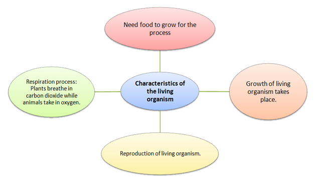 characteristics of living organism