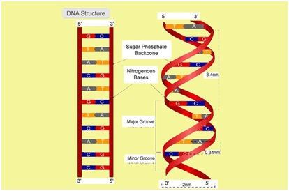 Biology3