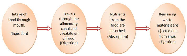 Digestion process