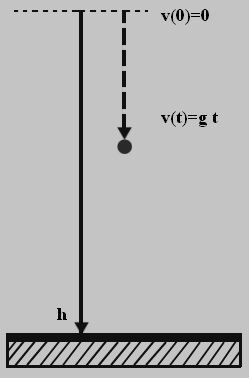 freefall position equation