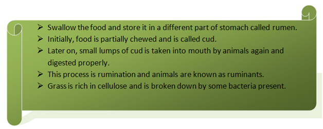 nutrition in grass eating animals