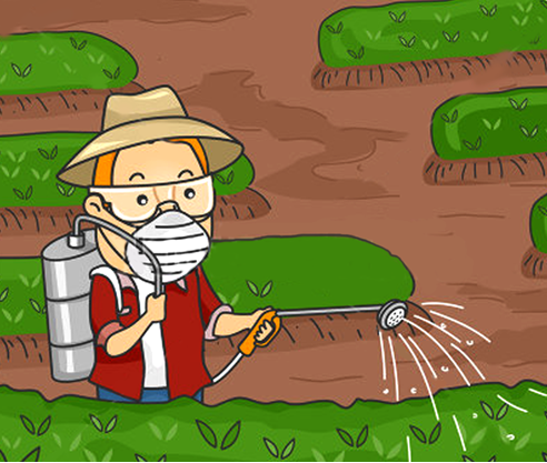 insecticides and pesticides examples