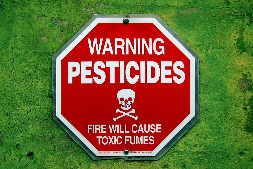 insecticides and pesticides examples