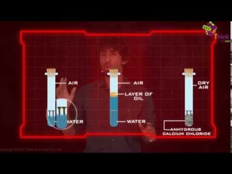 rust experiment method