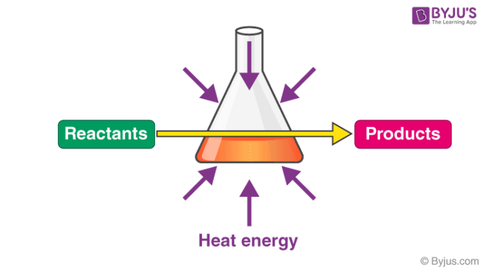 What Are Endothermic Reactions with Examples Video 