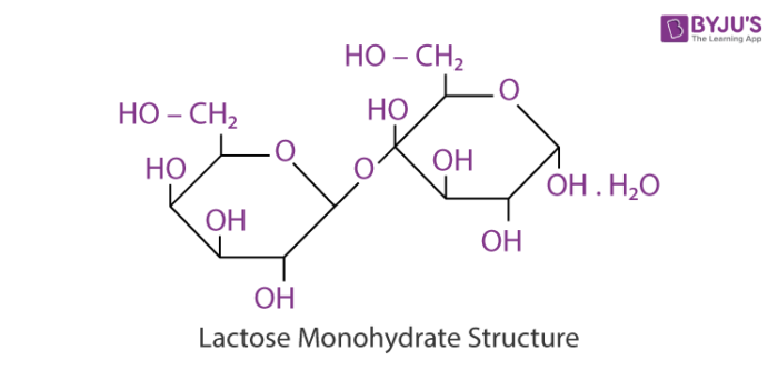 Lactose Monohydrate Structure