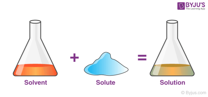 Solute (Chemistry) - Definition, Examples, Types with Videos