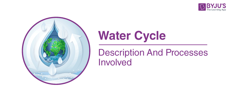 Water Cycle - Different Stages of the Water Cycle and Explanation