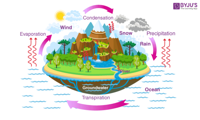 water cycle diagram for class 8