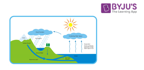 Water Cycle