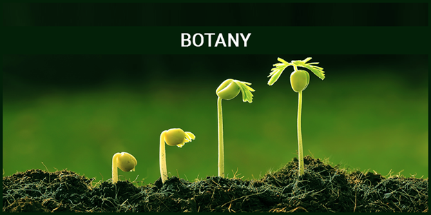 Botany Subject Review